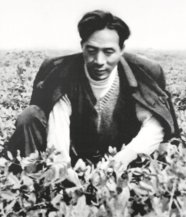 “这首词我是有感而发，直抒胸臆”｜“物”见初心·总书记的时代印记（17）
