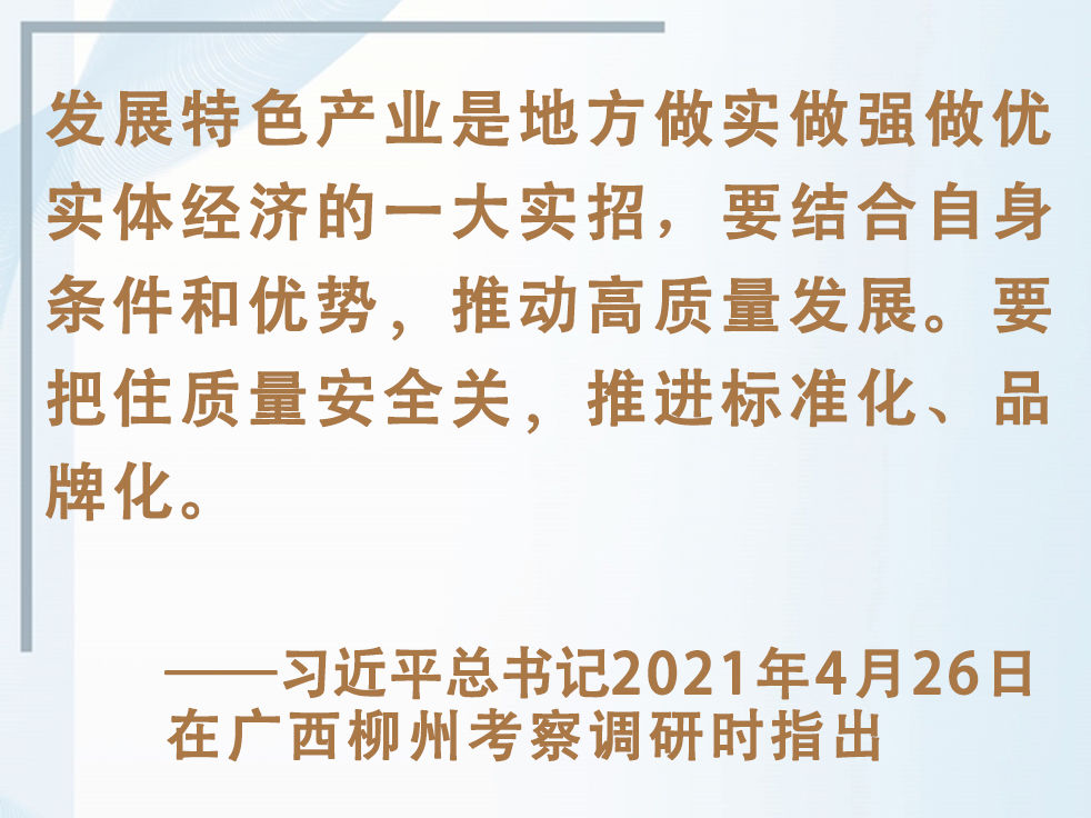 总书记挂念的“关键小事” | 特色小吃大产业