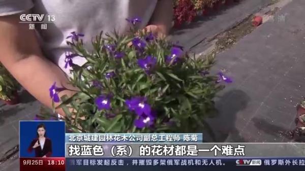 一问到底丨国庆花卉景观是如何打造的？