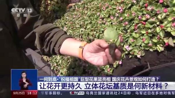 一问到底丨国庆花卉景观是如何打造的？