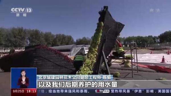 一问到底丨国庆花卉景观是如何打造的？