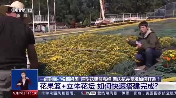 一问到底丨国庆花卉景观是如何打造的？