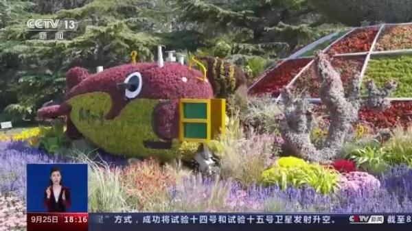 一问到底丨国庆花卉景观是如何打造的？