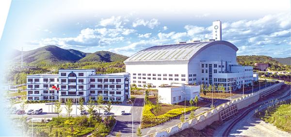 天津：城市管理“绣”出品质品牌和民生温度