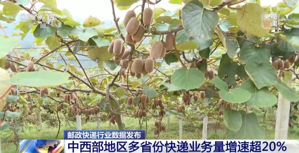 1—9月全国快递业务量超800亿件?中西部地区多省份快递业务量增速超20%