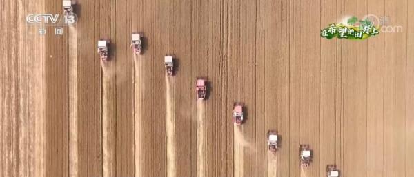 保粮食丰收 一系列力度空前的强农政策相继出台