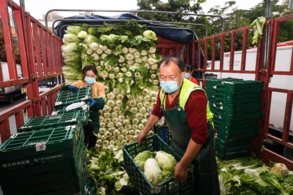 进一步提升防控科学性、精准性——国务院联防联控机制权威回应二十条优化措施调整看点