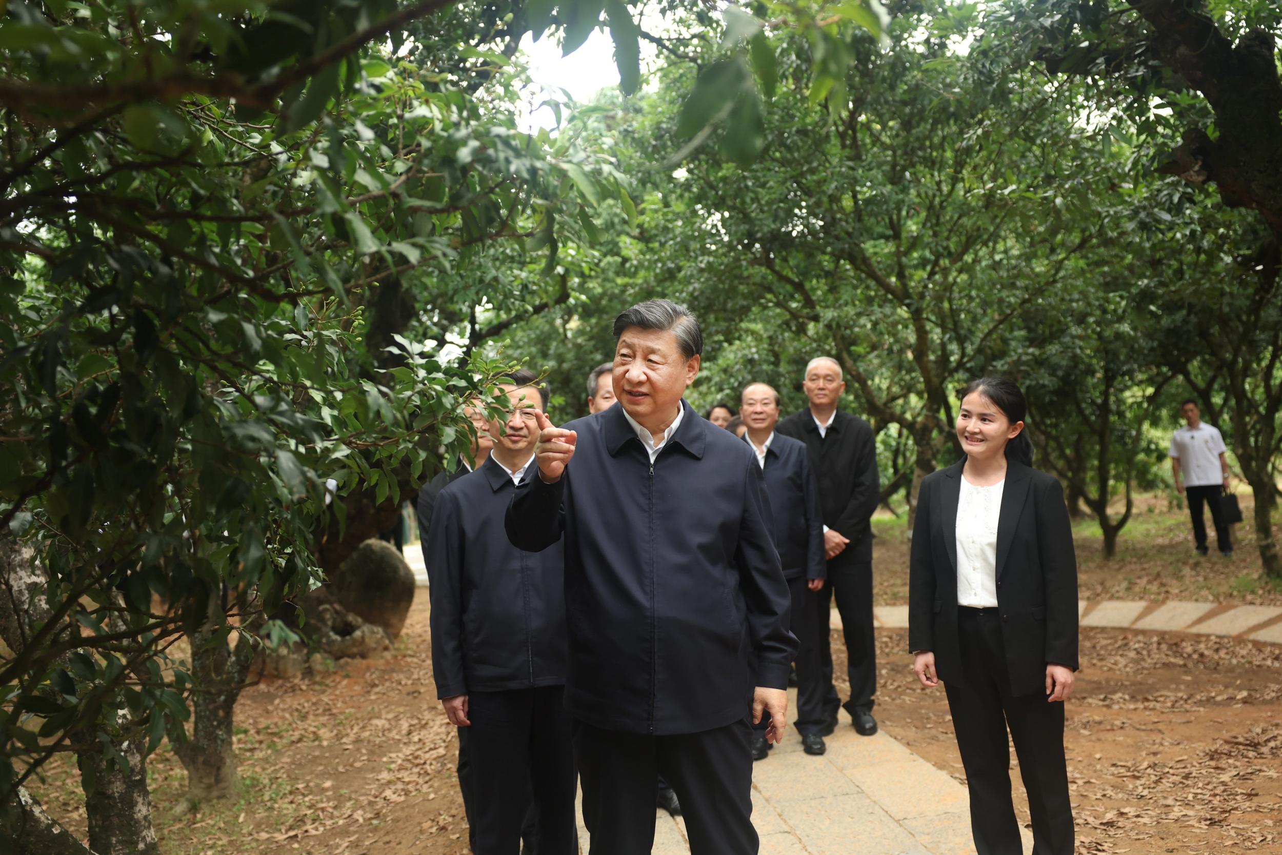 4月11日，習近平總書記在廣東省茂名市高州市根子鎮柏橋村考察。（新華社記者鞠鵬 攝）.jpg