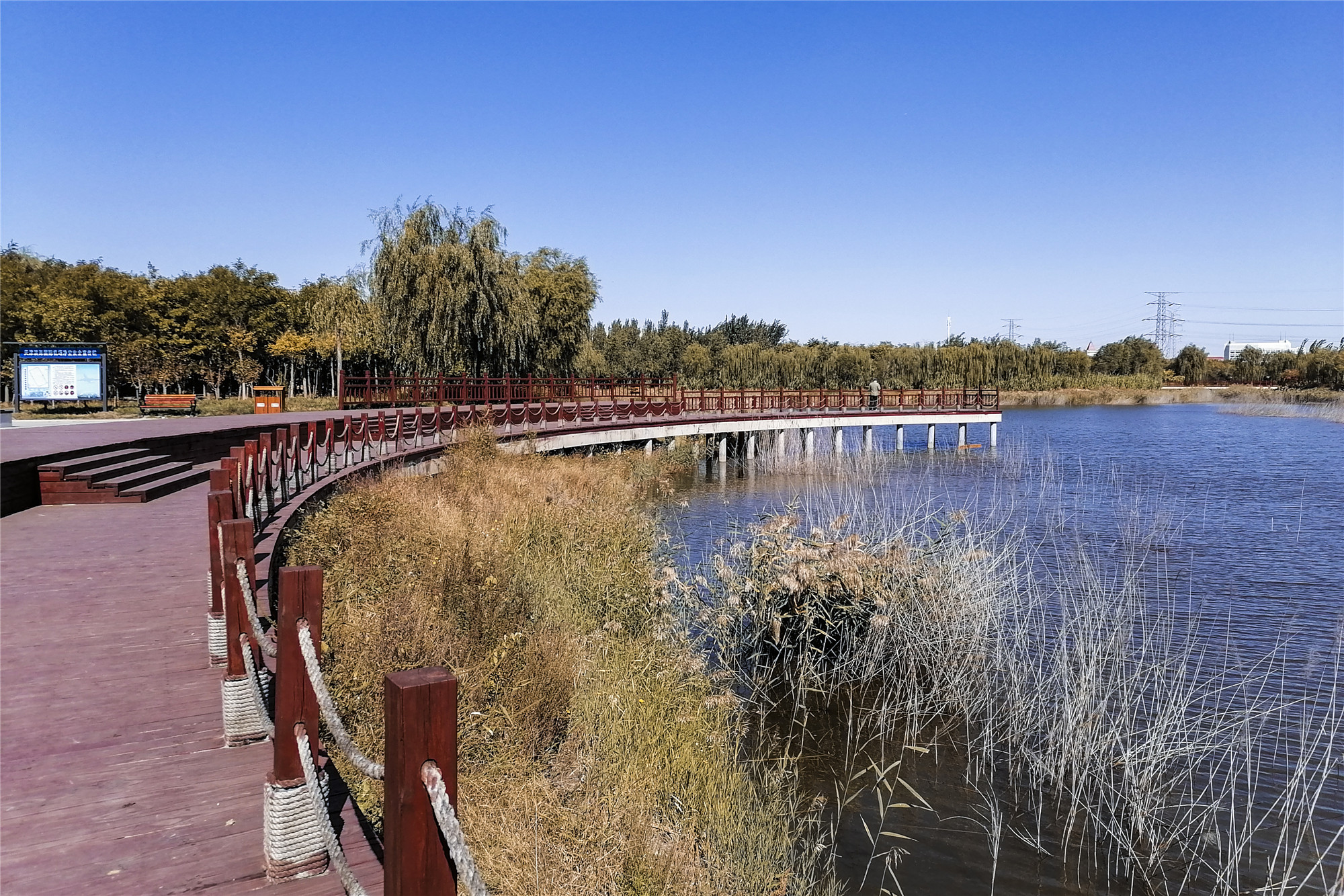 美丽东丽秋意浓