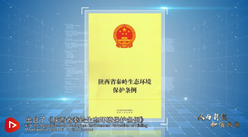 种草皮价格一平米多少钱合适