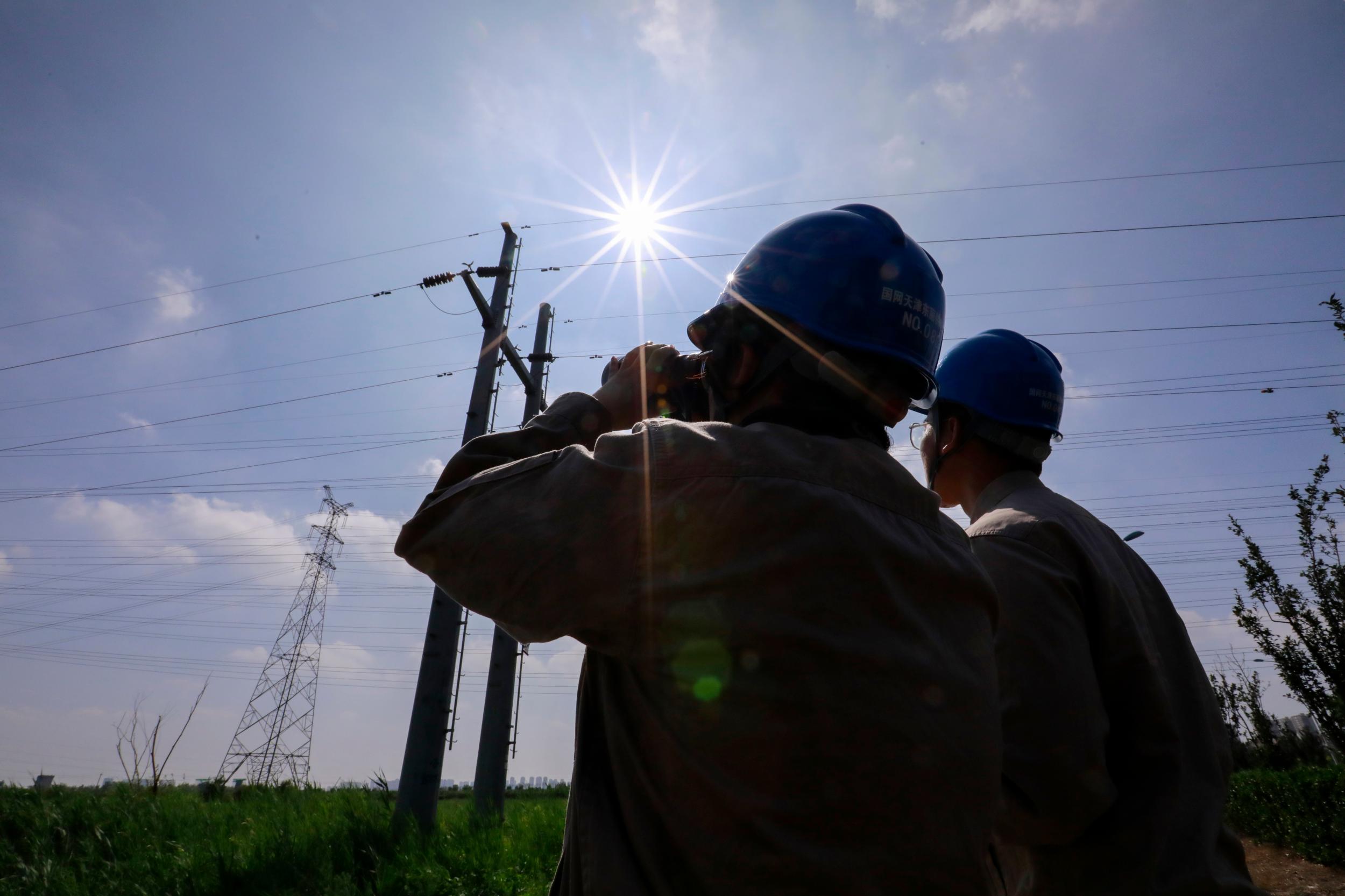 国网天津东丽公司加强线路巡检确保夏季供电