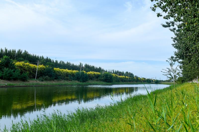 东丽湖风清气爽秋意渐浓
