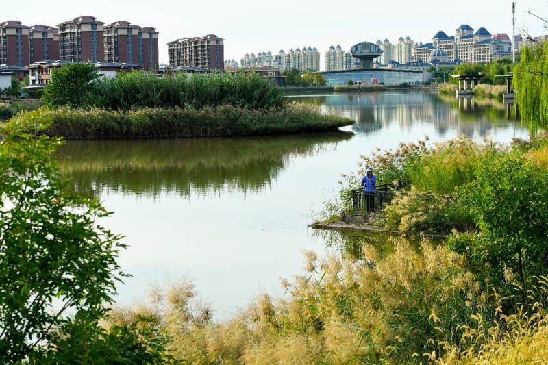 东丽湖风清气爽秋意渐浓
