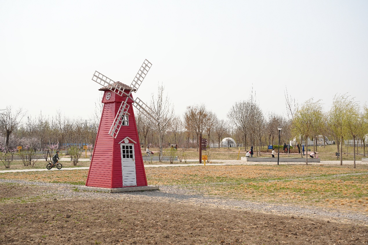 清明小长假新立郊野公园迎来踏青春游小高峰